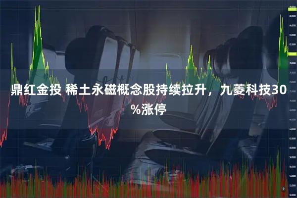 鼎红金投 稀土永磁概念股持续拉升，九菱科技30%涨停