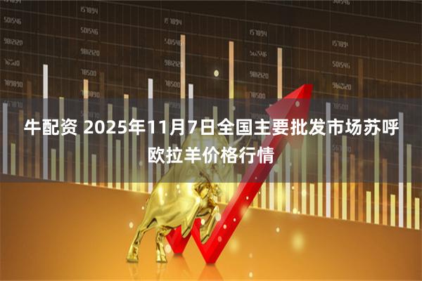 牛配资 2025年11月7日全国主要批发市场苏呼欧拉羊价格行情