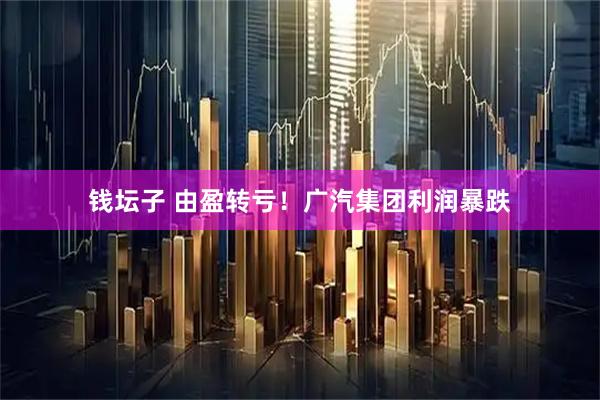 钱坛子 由盈转亏！广汽集团利润暴跌
