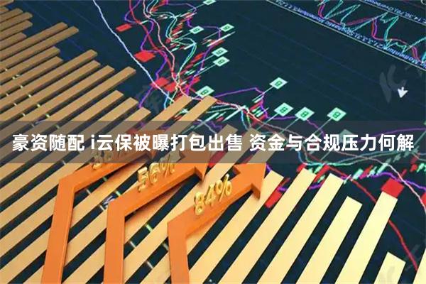 豪资随配 i云保被曝打包出售 资金与合规压力何解