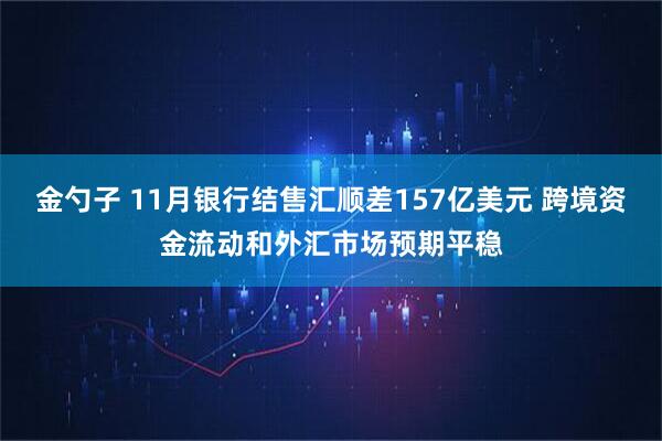 金勺子 11月银行结售汇顺差157亿美元 跨境资金流动和外汇市场预期平稳